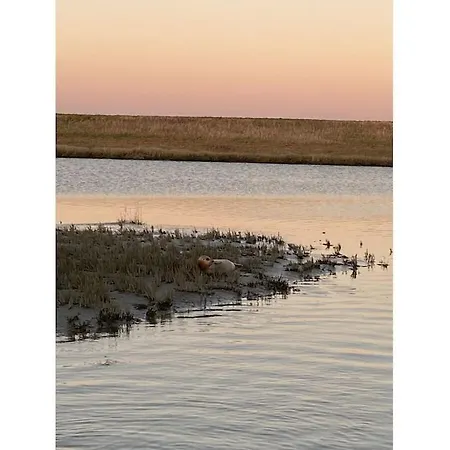 Prázdninový dům With 2 Bedrooms Butjadingen